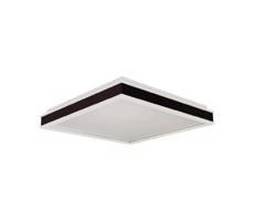 LED Stropné svietidlo LED/18W/230V 4000K 35x35 cm čierna