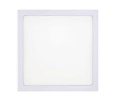 LED Stropné svietidlo LED/18W/230V 4200K 22x22 cm biela