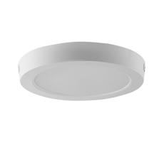 LED Stropné svietidlo LED/18W/230V 6500K