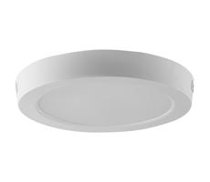 LED Stropné svietidlo LED/24W/230V 3000K