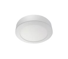 LED Stropné svietidlo LED/24W/230V 4200K