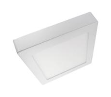 LED Stropné svietidlo LED/24W/230V 4200K