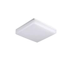 LED Stropné svietidlo LED/25W/230V 30cm IP44