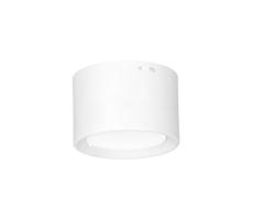 LED Stropné svietidlo LED/6W/230V biela pr. 8 cm