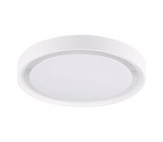 LED Stropné svietidlo PERSE LED/15W/230V biela