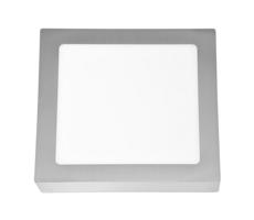 LED Stropné svietidlo RAFA LED/18W/230V 2700K