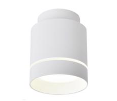 LED Stropné svietidlo TUBA LED/12W/230V