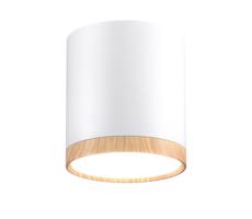 LED Stropné svietidlo TUBA LED/5W/230V biela/béžová