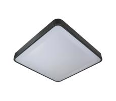 LED Stropné svietidlo WILTON LED/24W/230V antracit