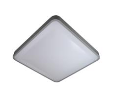 LED Stropné svietidlo WILTON LED/24W/230V šedá