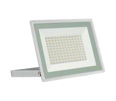 LED Vonkajší reflektor NOCTIS LUX 3 LED/100W/230V 4000K IP65 biela