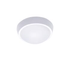 LED vonkajšie osvetlenie, 18W, 1350lm, 4000K, IP65, 22cm