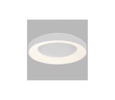 LED2 LED2 - LED Stropné svietidlo BELLA LED/40W/230V 3000/4000K biela