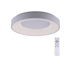 Leuchten Direkt Leuchten Direkt 14326-16 - LED Stmievateľné svietidlo ANIKA LED/30W/230V + DO