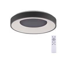 Leuchten Direkt Leuchten Direkt 14326-18 - LED Stmievateľné svietidlo ANIKA LED/30W/230V + DO