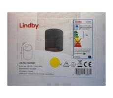 Lindby Lindby - LED Nástenné svietidlo EDVIN 1xG9/3W/230V