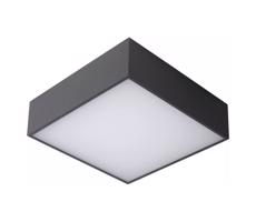 Lucide Lucide 27816/10/29 - LED Kúpeľňové stropné svietidlo ROXANE LED/12W/230V IP54