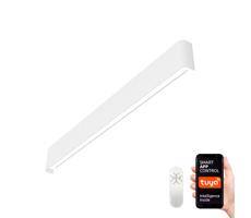 Neo  NEO 07137-W - LED SMART Stmievateľné svietidlo LINEA LED/40W/230V + DO 76 cm