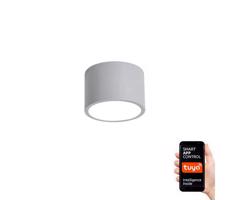 Neo  NEO 07143-GR15X - LED Stmievateľné svietidlo RONDATE LED/12W/230V šedá Tuya