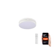 Neo  NEO 07153-W30 - LED Stmievateľné svietidlo PERFECTO 24W/230V Wi-Fi Tuya + DO