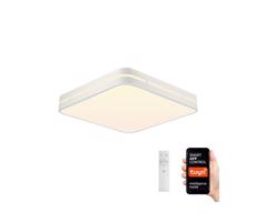 Neo  NEO 07155-W42 - LED Stmievateľné svietidlo PERFECTO 48W/230V Wi-Fi Tuya + DO