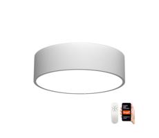 Neo  NEO 07204L - LED Stmievateľné svietidlo RONDATE LED/18W/230V biela Tuya + DO