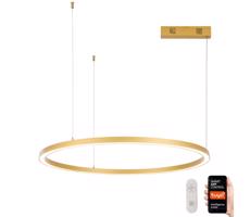 Neo  NEO 07217L-LED Stmievateľný luster na lanku FINO 60W/230V 80cm zlatá Tuya+DO