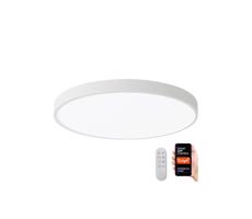 Neo  NEO 07252L -LED Stmievateľné svietidlo SEMPLICI 48W/230V Wi-Fi Tuya bílá+ DO