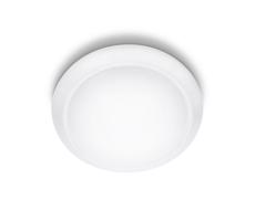 Philips Philips 33365/31/17 - LED stropné svietidlo 1xLED/22W/230V