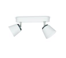 Philips Philips 53342/31/16 - LED bodové svietidlo DENDER 2xLED/4W/230V