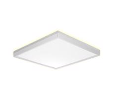 Prezent Prezent  - LED Kúpeľňové stropné svietidlo CORDIA SQ LED/24W/230V IP54 biela