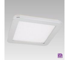 Prezent Prezent  - LED Kúpeľňové stropné svietidlo MADRAS 1xLED/24W/230V IP44