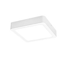 Rabalux LED Stropné svietidlo SHAUN LED/12W/230V 14,5 cm