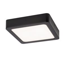 Rabalux Rabalux 2689 - LED Stropné svietidlo SHAUN LED/12W/230V 14,5 cm