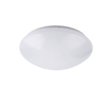 Rabalux Rabalux 3436 - LED Stropné svietidlo LUCAS 1xLED/24W/230V