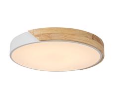 Rabalux Rabalux 3527 - LED Stropné svietidlo MAPLE LED/24W/230V biela