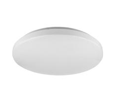 Rabalux Rabalux 5435 - LED Stropné svietidlo ROB LED/20W/230V