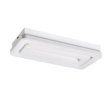 Rabalux Rabalux 5648 - LED Stropné svietidlo ALANA LED/40W/230V