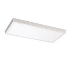 Rabalux Rabalux 71077 - LED Prisadený panel DAMEK LED/24W/230V 4000K 60x30 cm