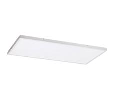 Rabalux Rabalux 71079 - LED Prisadený panel DAMEK LED/80W/230V 4000K 120x60 cm