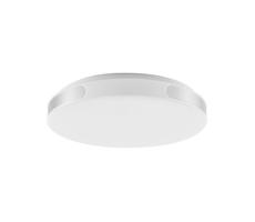 Rabalux Rabalux 71085 - LED Stropné svietidlo DANUTA LED/24W/230V 4000K pr. 39 cm