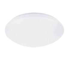 Rabalux Rabalux 71134 - LED Stropné svietidlo so senzorom LUCAS LED/24W/230V IP44 4000K