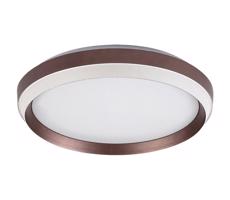 Rabalux Rabalux 71159 - LED Stropné svietidlo FONTANA LED/24W/230V 3000K