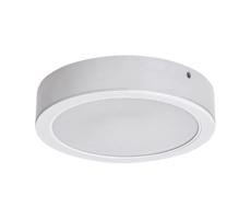 Rabalux Rabalux 71192 - LED Stropné svietidlo SHAUN LED/7W/230V pr. 12 cm biela