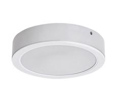 Rabalux Rabalux 71193 - LED Stropné svietidlo SHAUN LED/15W/230V pr. 16 cm biela