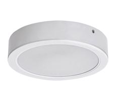 Rabalux Rabalux 71194 - LED Stropné svietidlo SHAUN LED/24W/230V pr. 22 cm biela