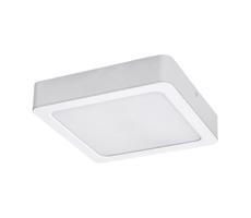 Rabalux Rabalux 71195 - LED Stropné svietidlo SHAUN LED/7W/230V 12x12 cm biela