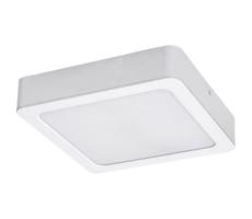 Rabalux Rabalux 71197 - LED Stropné svietidlo SHAUN LED/24W/230V 22x22 cm biela