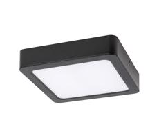 Rabalux Rabalux 71201 - LED Stropné svietidlo SHAUN LED/7W/230V 12x12 cm čierna