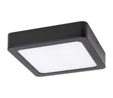 Rabalux Rabalux 71203 - LED Stropné svietidlo SHAUN LED/24W/230V 22x22 cm čierna